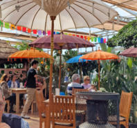 Lunch at the garden centre